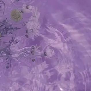 Profile image of 수현