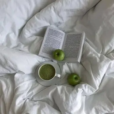 Profile image of 공룡