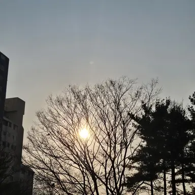 Profile image of 잠뜰