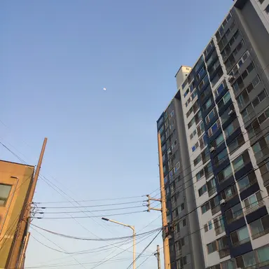 Profile image of 김또라