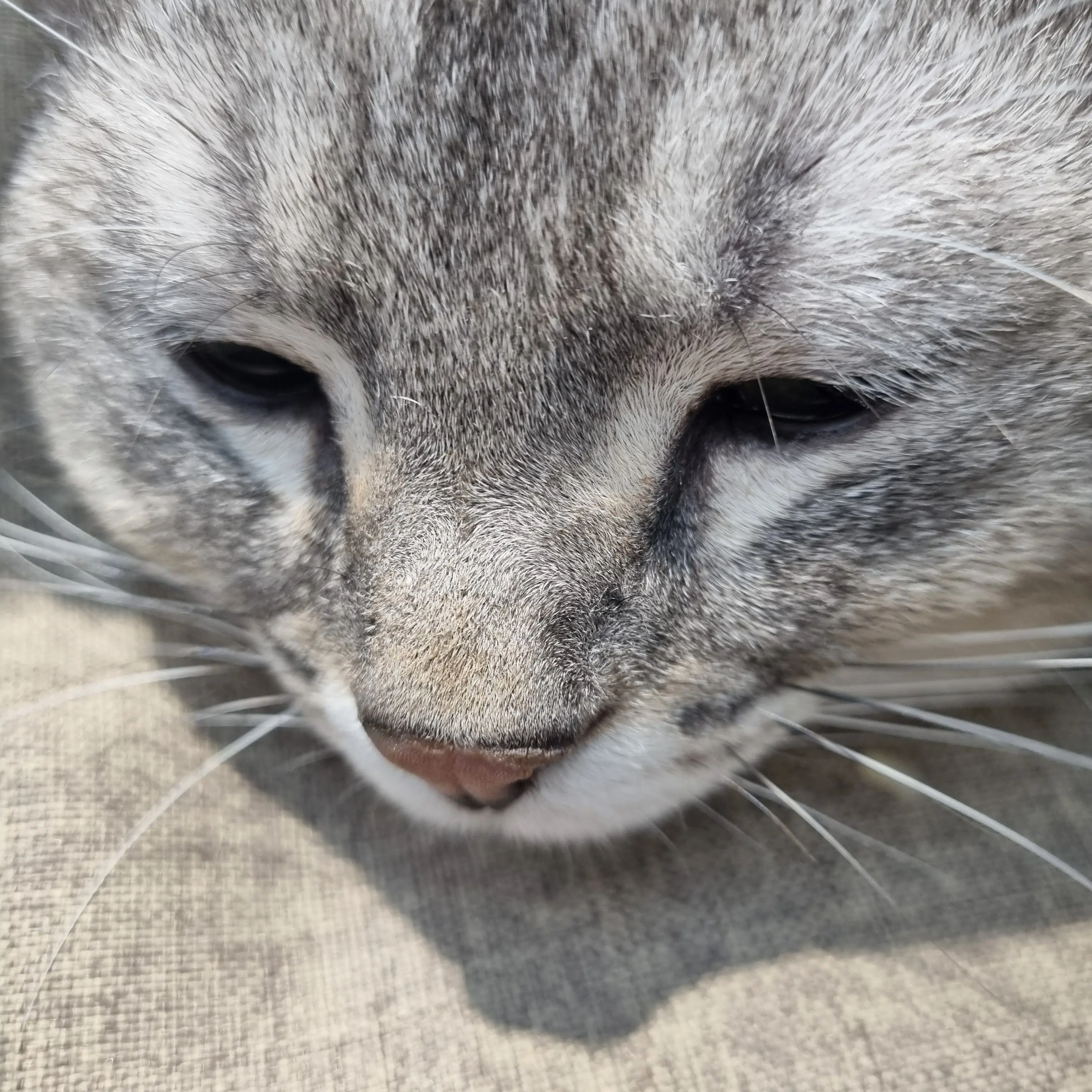 Gykcjd.의 맨날쓰던 그때그가면