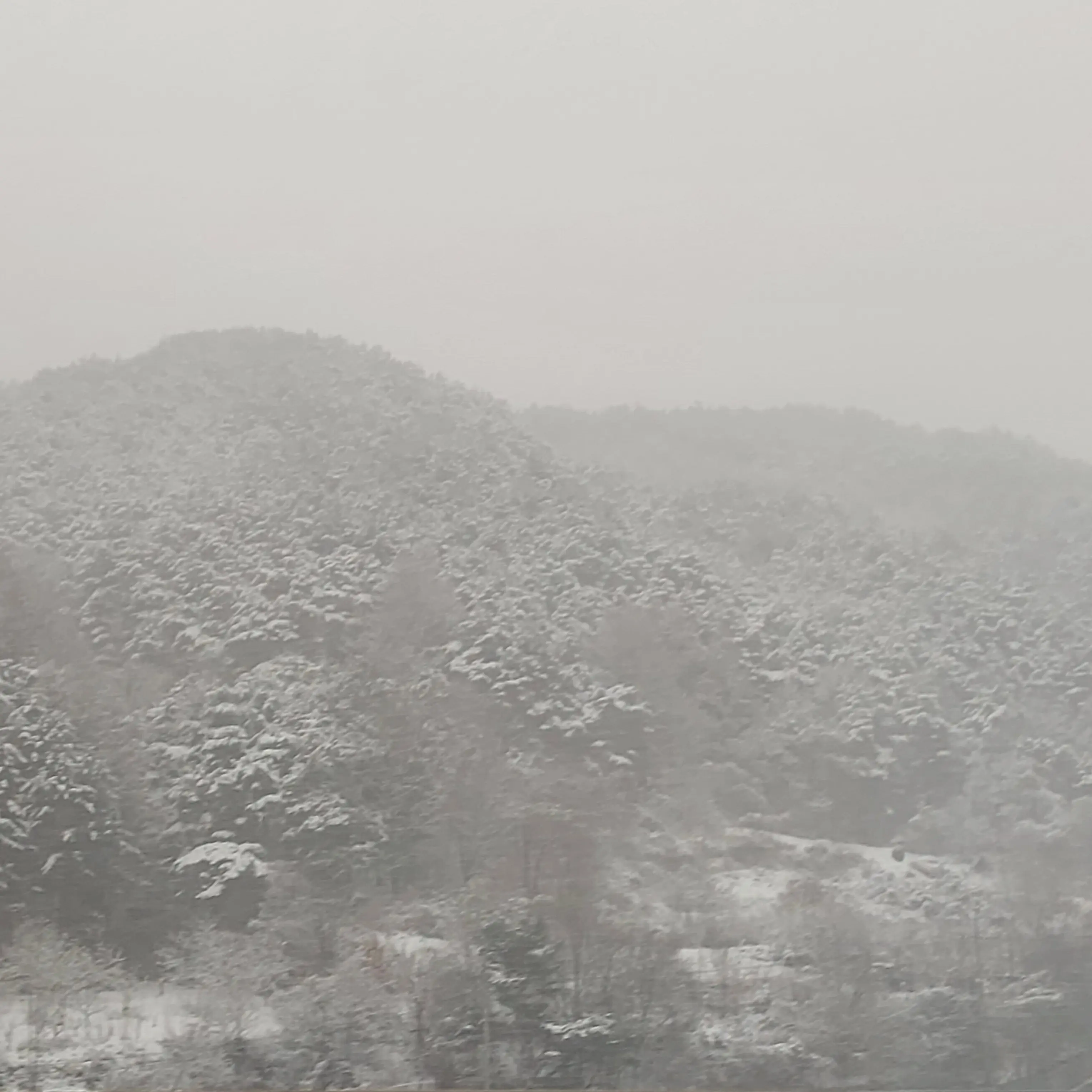 RipestAtom8470의 소아♡ (리레 잠뜰 PJX)