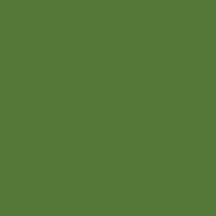 CyanEider4513의 一人で