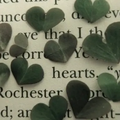 Profile image of 공룡