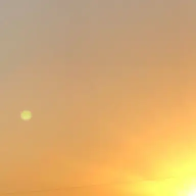 Profile image of 永瀬廉