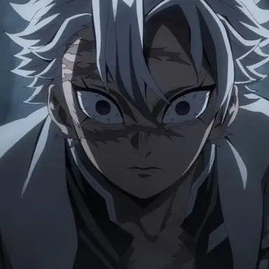 Profile image of Sanemi Shinazugawa