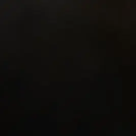 Profile image of 변의주