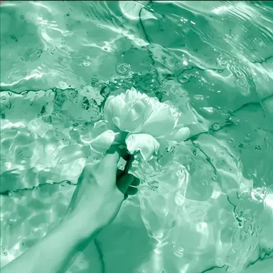 Profile image of 예엥