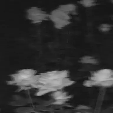 Profile image of 시미베