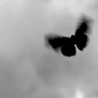 Profile image of 율