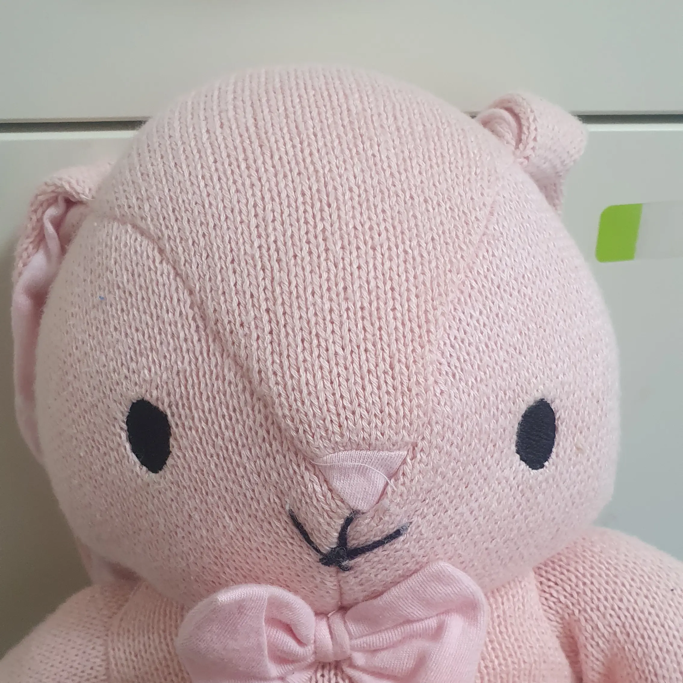 CloudyShop4559의 토실이와언니