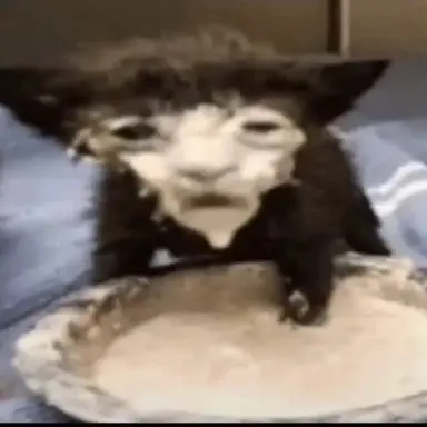 Profile image of BEETLEJUICE