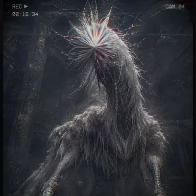 Profile image of 고허르