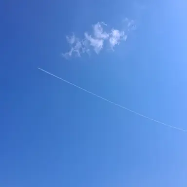 Profile image of 설명