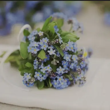 Profile image of 아루