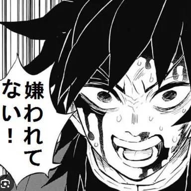 Profile image of 冨岡義勇