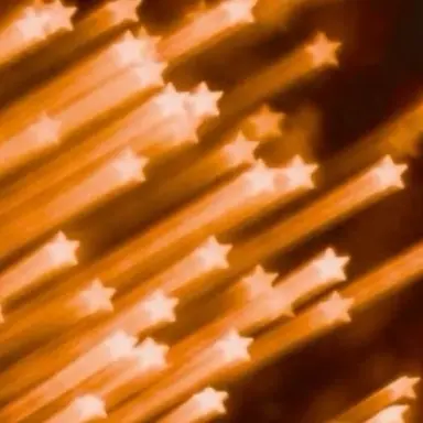 Profile image of 코마