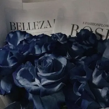 Profile image of 행크