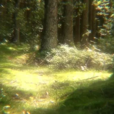 Profile image of 예엥