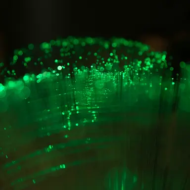 Profile image of Green