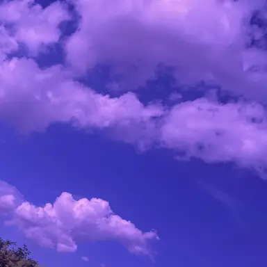 Profile image of 여우