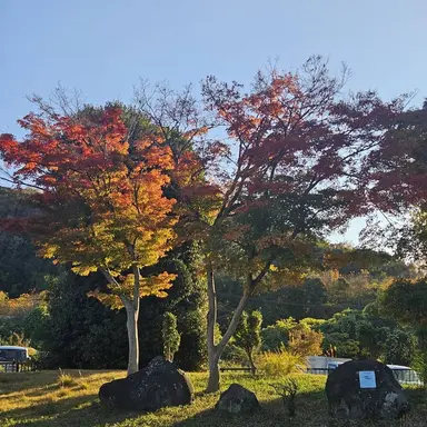 Profile image of 隼人