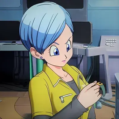 FrankPlane2660의 Bulma Briefs