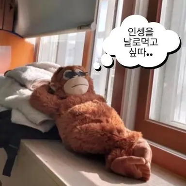 Profile image of 여우