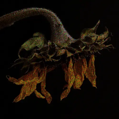 MadBeat7213의 다시 만난 친구?