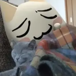 Profile image of 토로