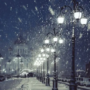 Profile image of 버니