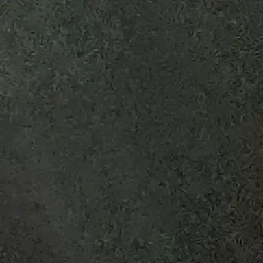 Profile image of 공룡