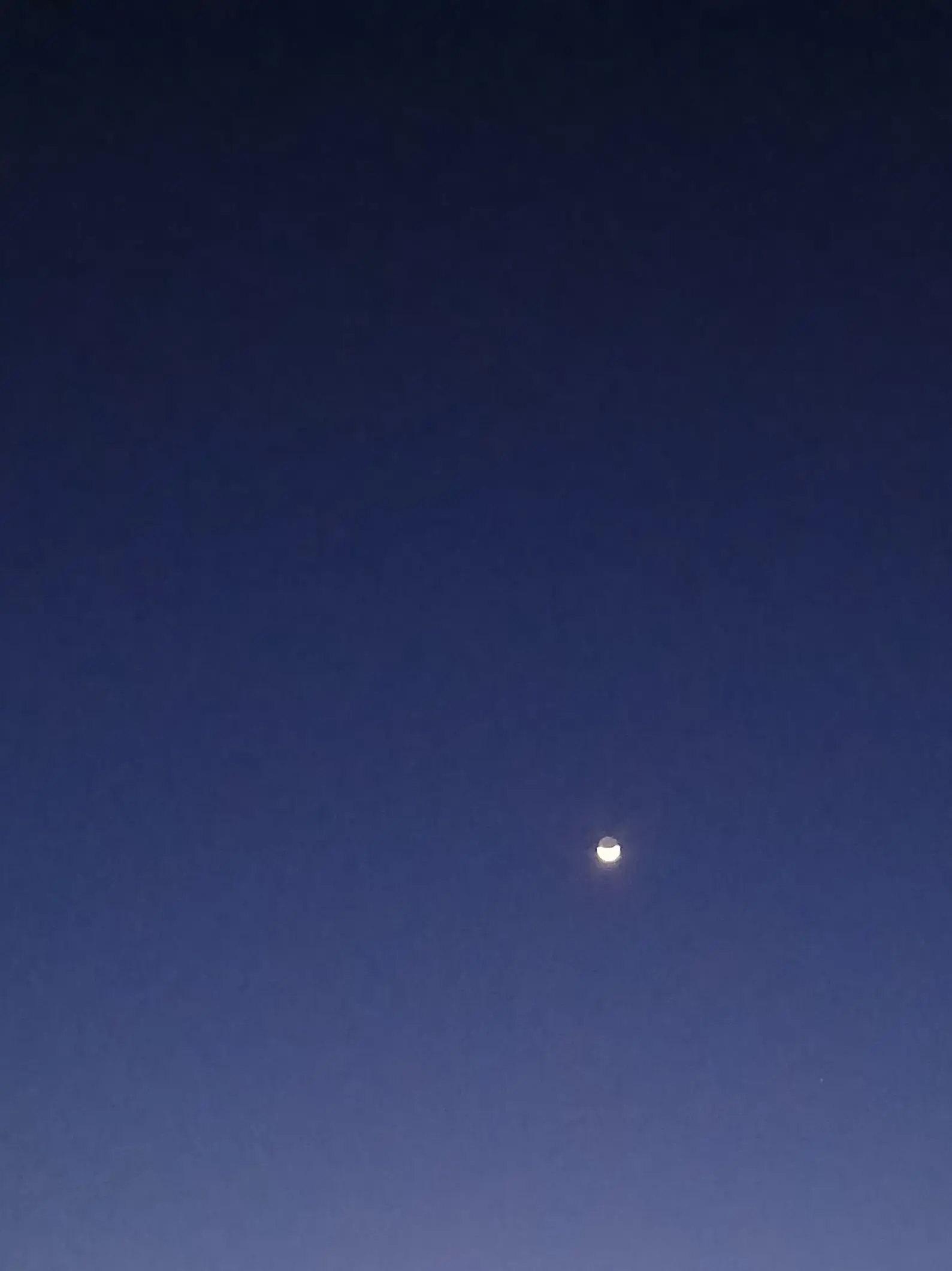 clo_wood의 星を読む子