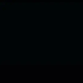 DemureLid5440의 같이 수리남으로 파견된 국정원