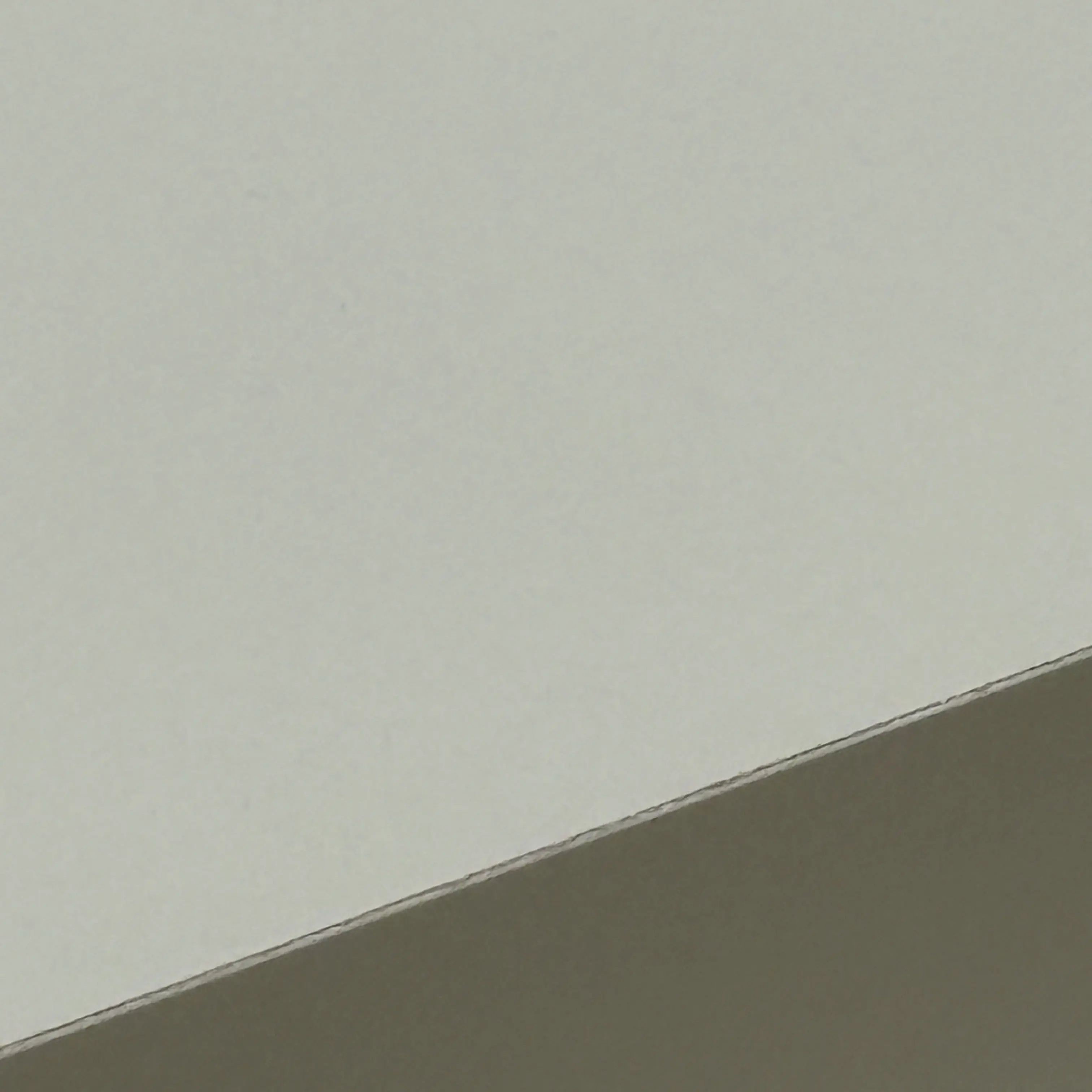 GummyTro001의 경호원