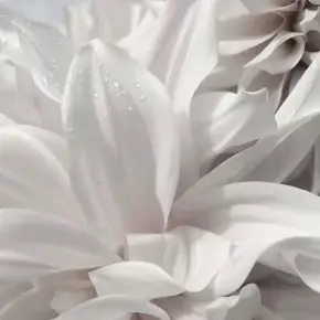 takuyagasukiyade._.sub의 チャラチャラのお医者さん