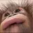 백현