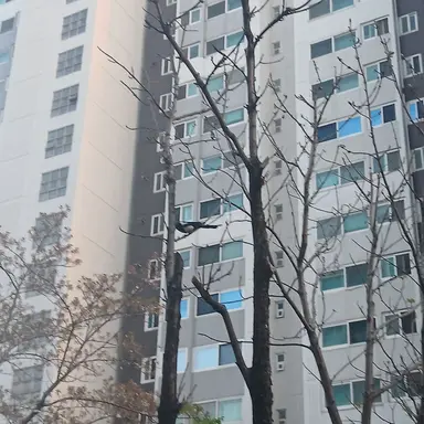 Profile image of 김현지.