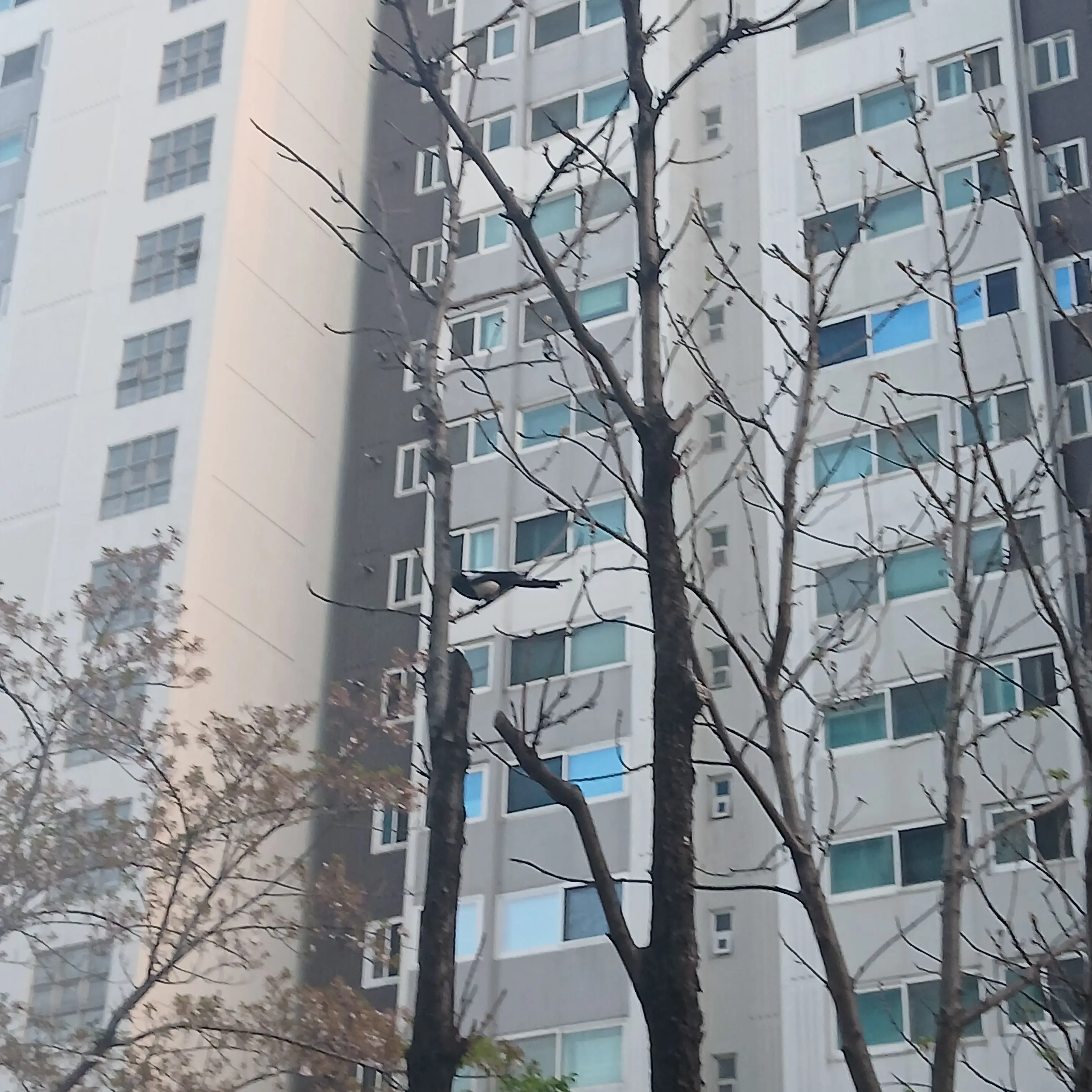 FruityLabel2684의 마음대로하세용