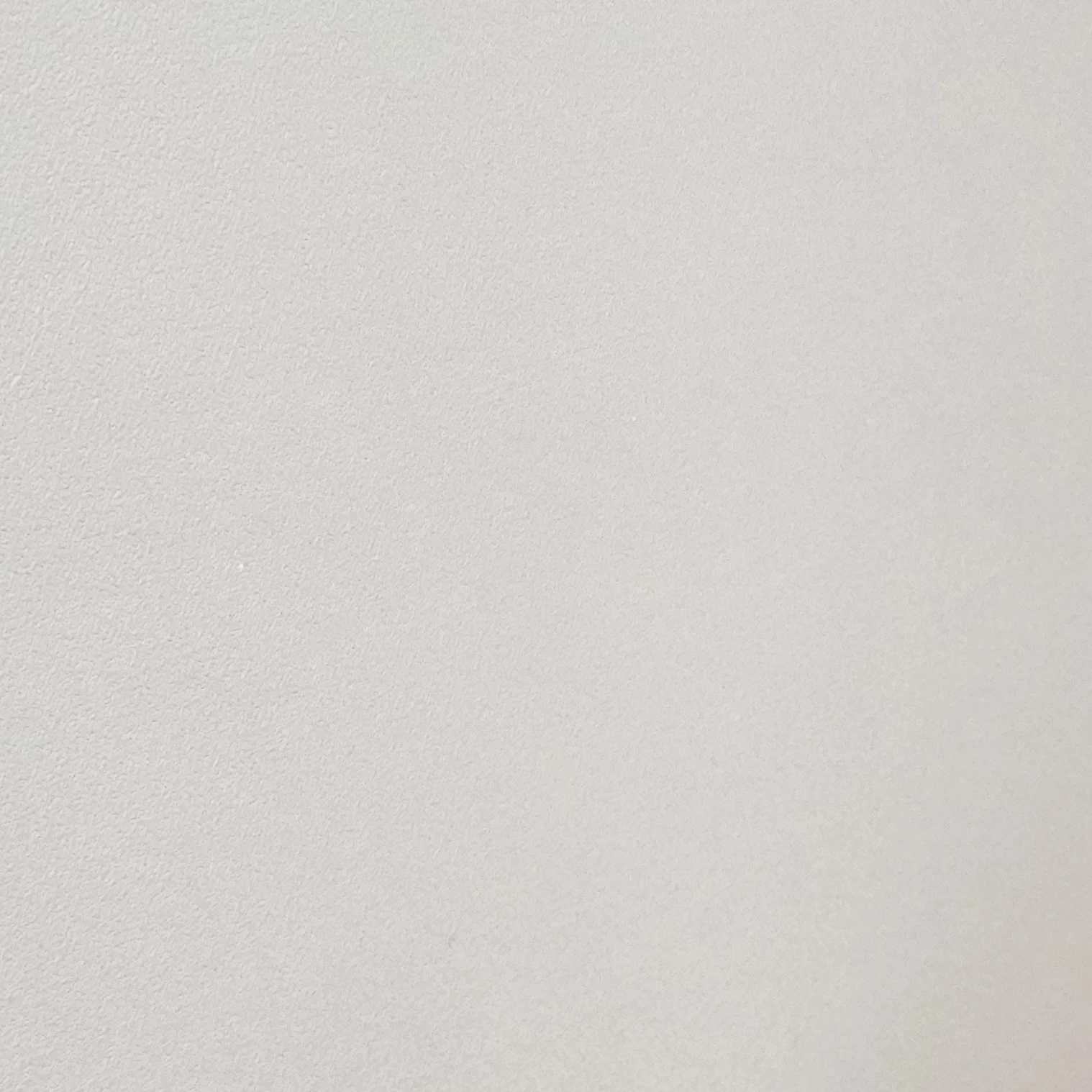 김동현