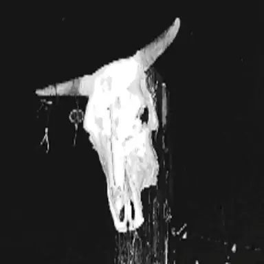Profile image of 돼지인간