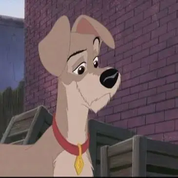 Profile image of Tramp