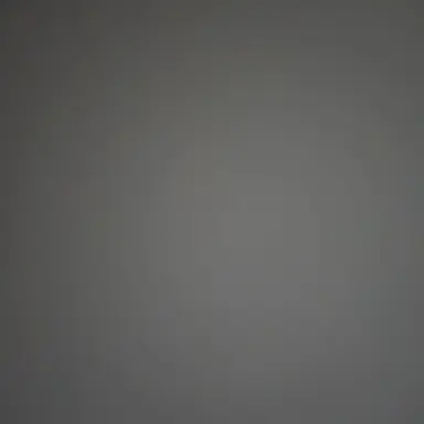 Profile image of 김 동 현