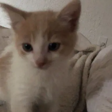 Profile image of 이 민호