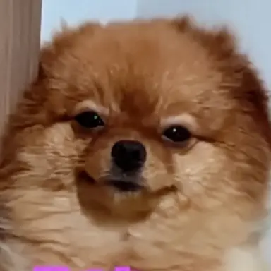 Profile image of るる