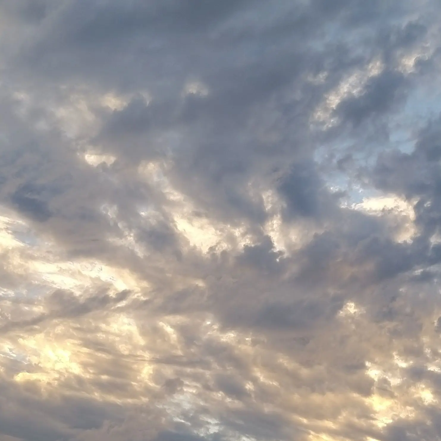 Ortensia_sosaku의 愛の血溜まりに酔う