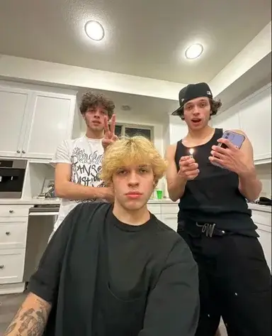 Profile image of sturniolo triplets