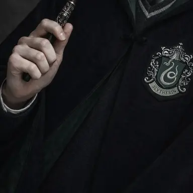 Profile image of 톰 리들