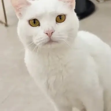 Profile image of 우유