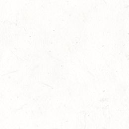 코니 대표 이미지